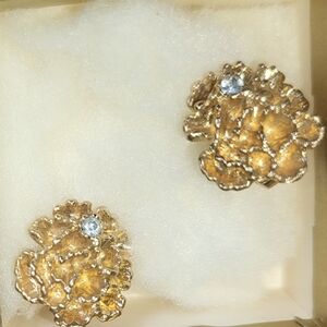 Vintage Avon Flowerblaze Clip On Earrings. NIP